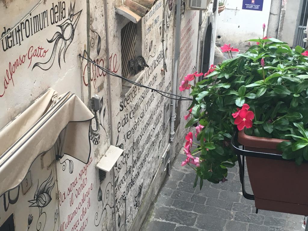 萨莱诺L'Infinito住宿加早餐旅馆 外观 照片